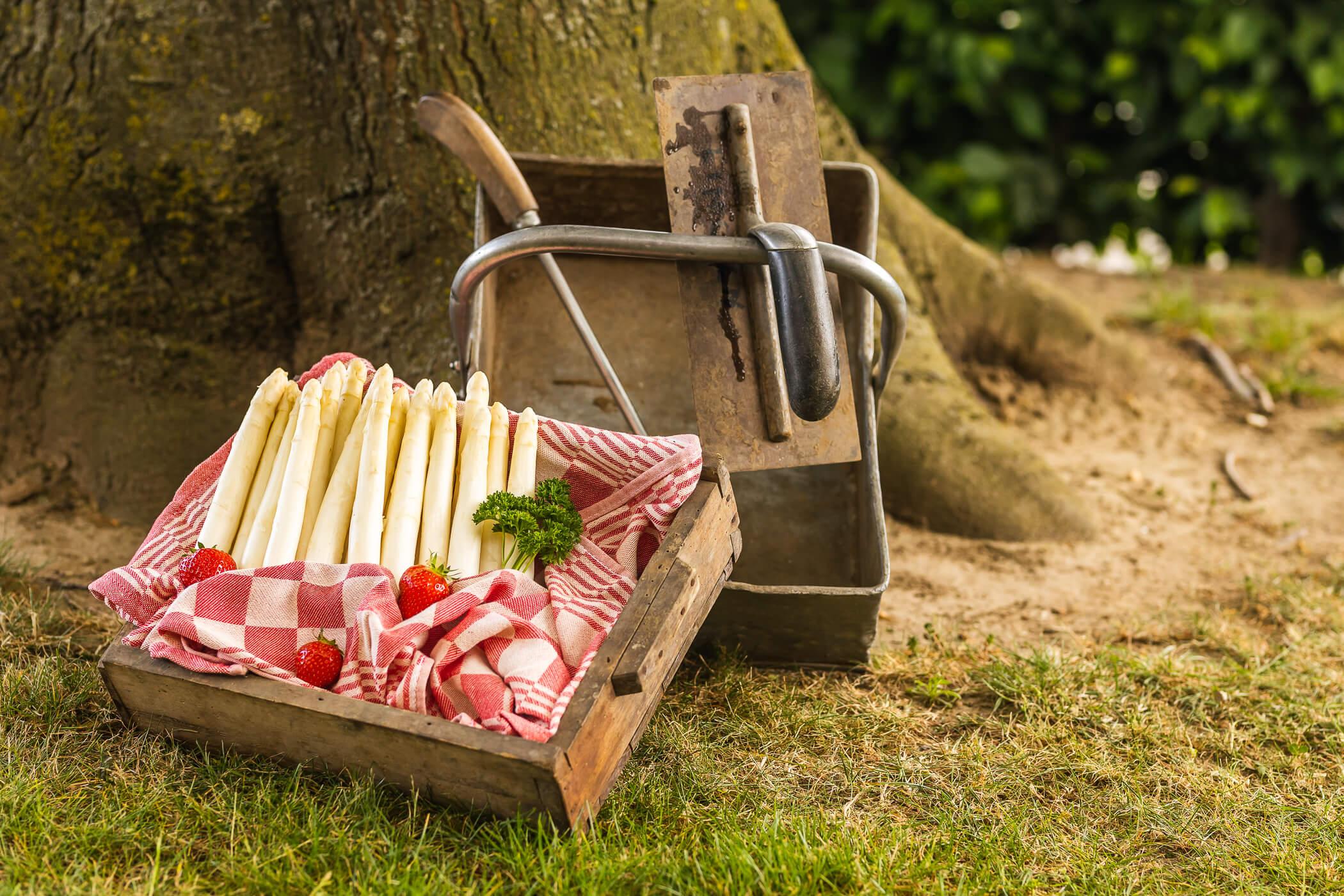 asperges in bak onder boom